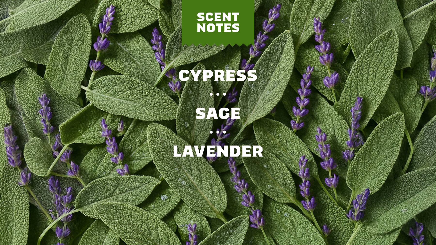 Alpine Sage Deodorant - All Day Active Glide