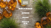 14 oz Birchwood Breeze Body Wash - Bright Outdoor Start