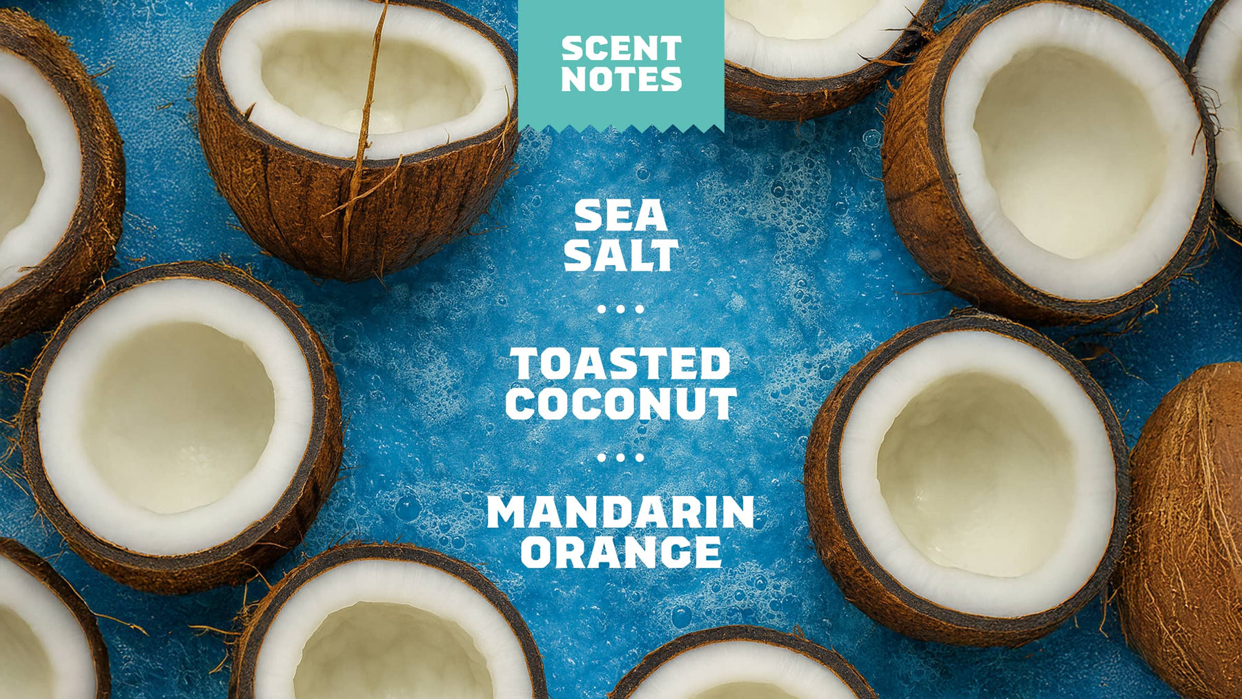 14 oz Coconut Castaway Body Wash - Premium Outdoor Clean