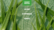 Cool Fresh Aloe Conditioner - Simple Active Clean