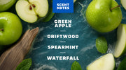 Soothing Post Shave Fresh Falls - Pine Style