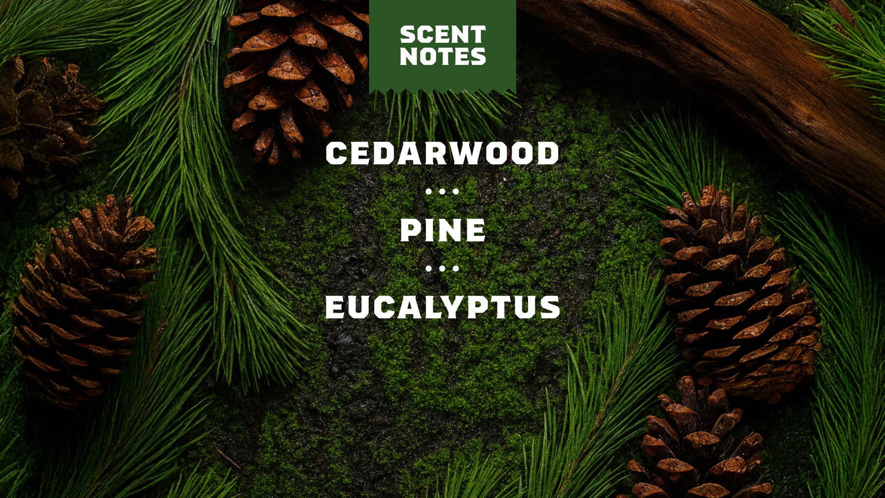 Pine Tar Shampoo - Simple Daily Clean