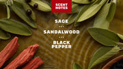 14 oz Sandalwood Summit Body Wash - Rugged Trail Start