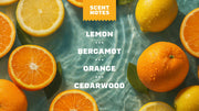 Summer Citrus - Daily Bright