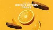 Summer Citrus - Daily Bright