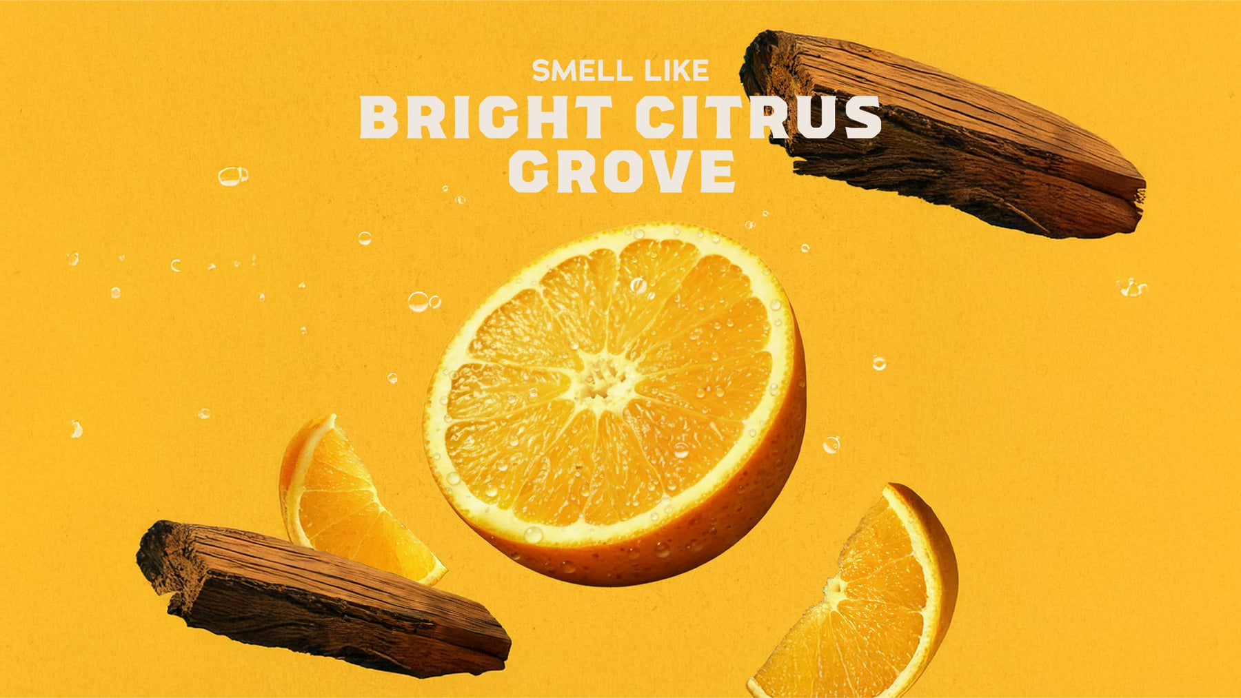 Summer Citrus Invisible Glide Deodorant - Clean Carry